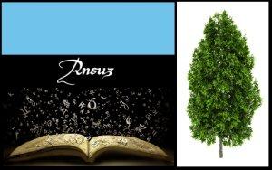 Ansuz (ELEMIAH VOYANCE 08 99 96 90 99) Ansuz (ELEMIAH VOYANCE 08 99 96 90 99)