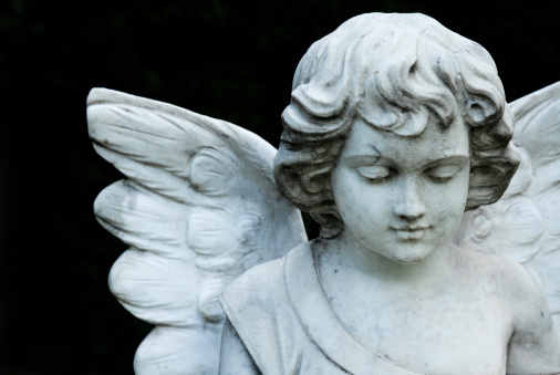 LES CHERUBINS